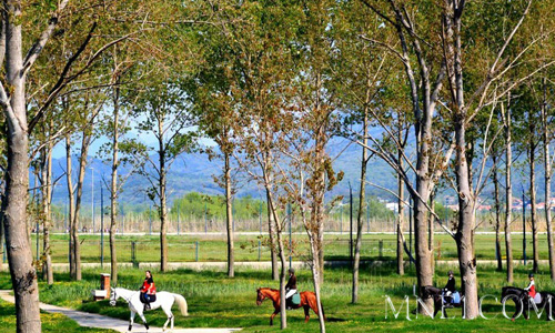 конная прогулка в Черногории экскурсии в черногории гид в будве гид в черногории