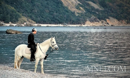 конная прогулка в Черногории экскурсии в черногории гид в будве гид в черногории